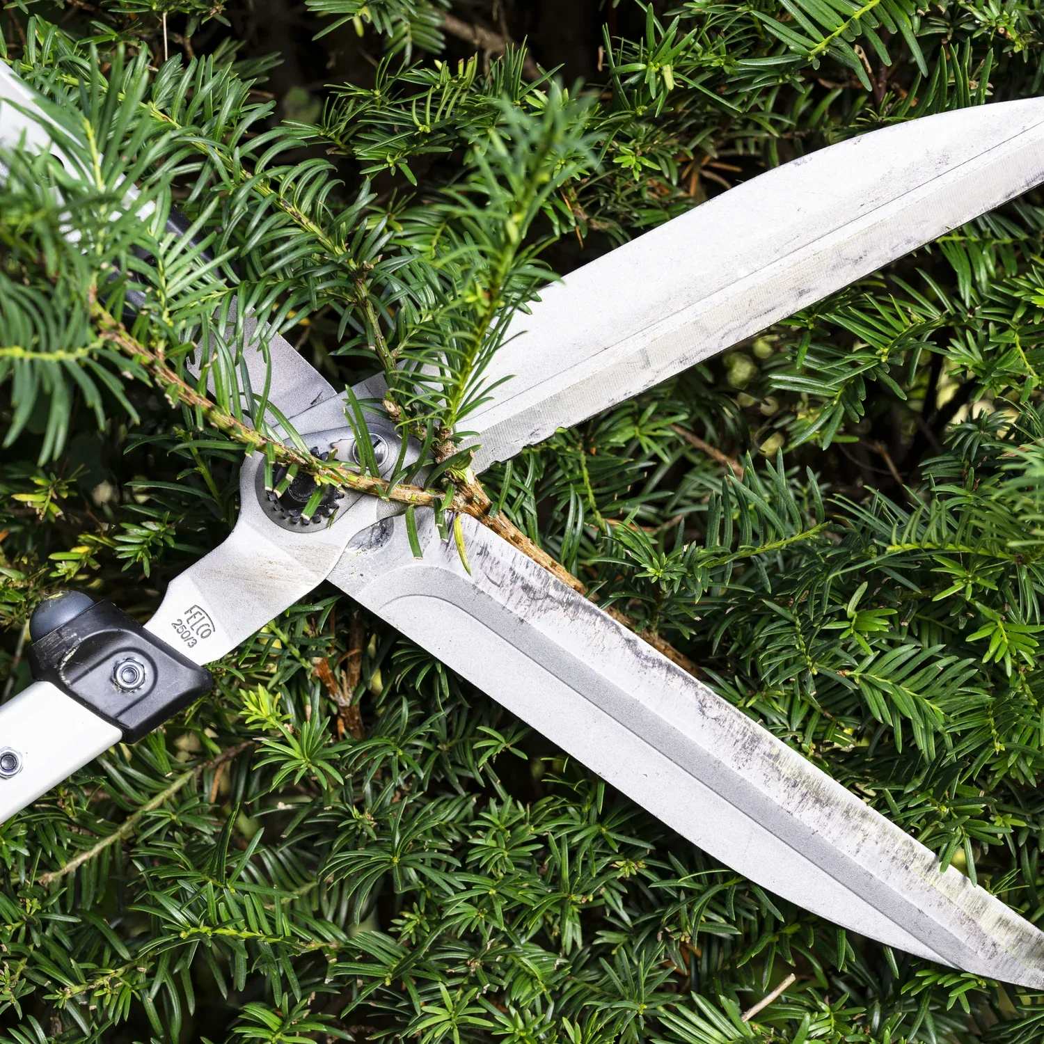 Felco 250-57 Hedge Shears - Image 4