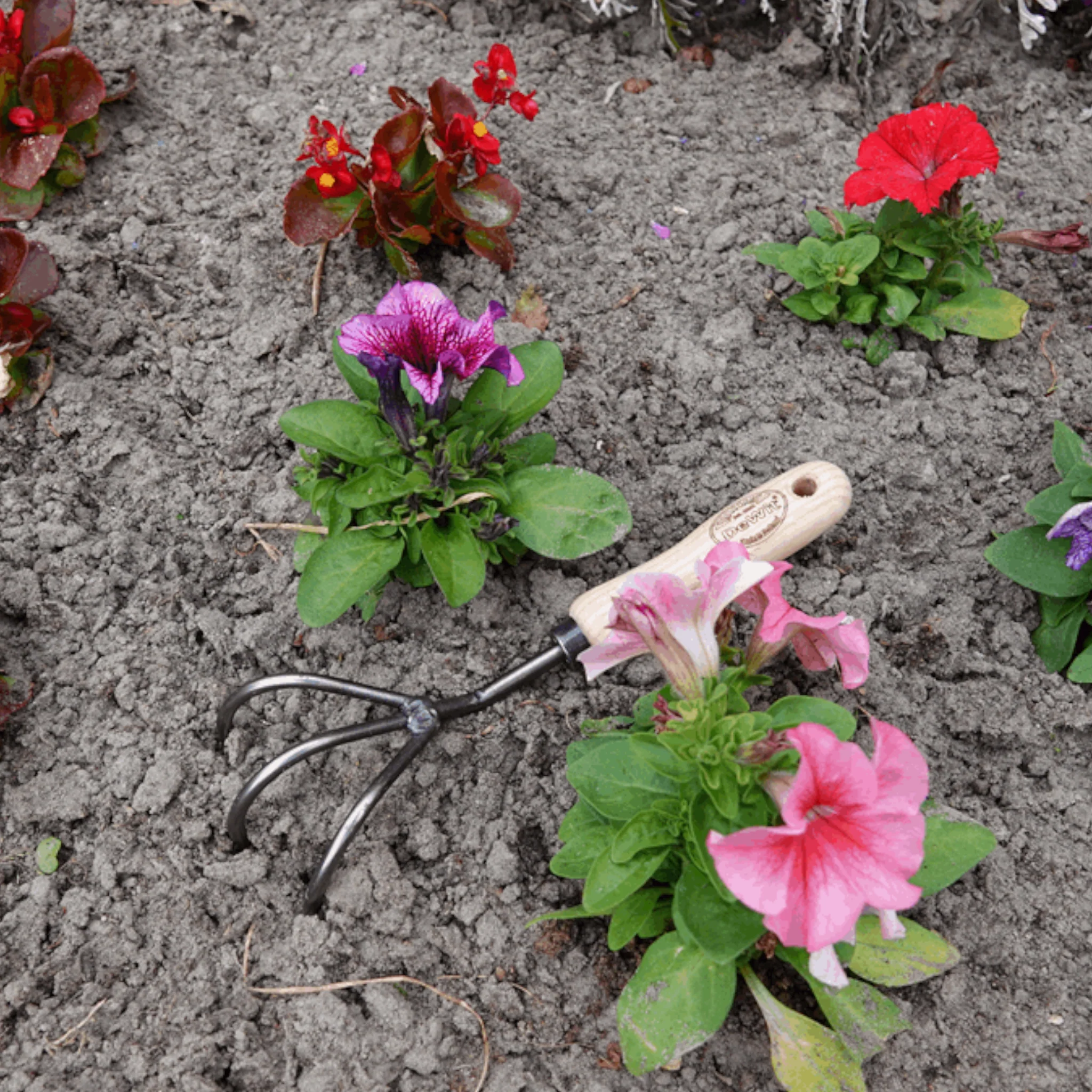 DeWit Short Handle 3-Tine Cultivator - Image 3