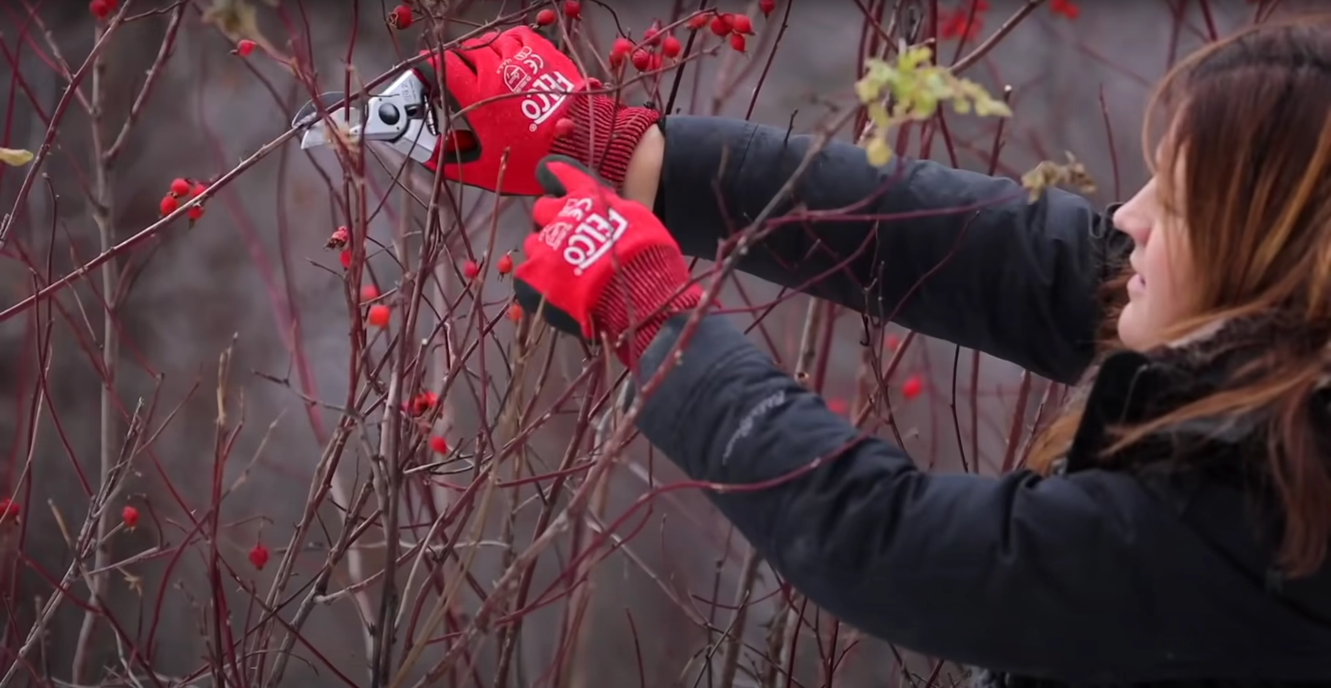 Felco 2 Classic Pruning Shears - Image 3