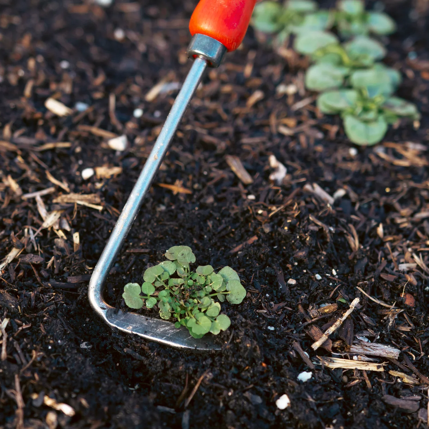 Felco 421 Cape Cod Weeder - Image 3