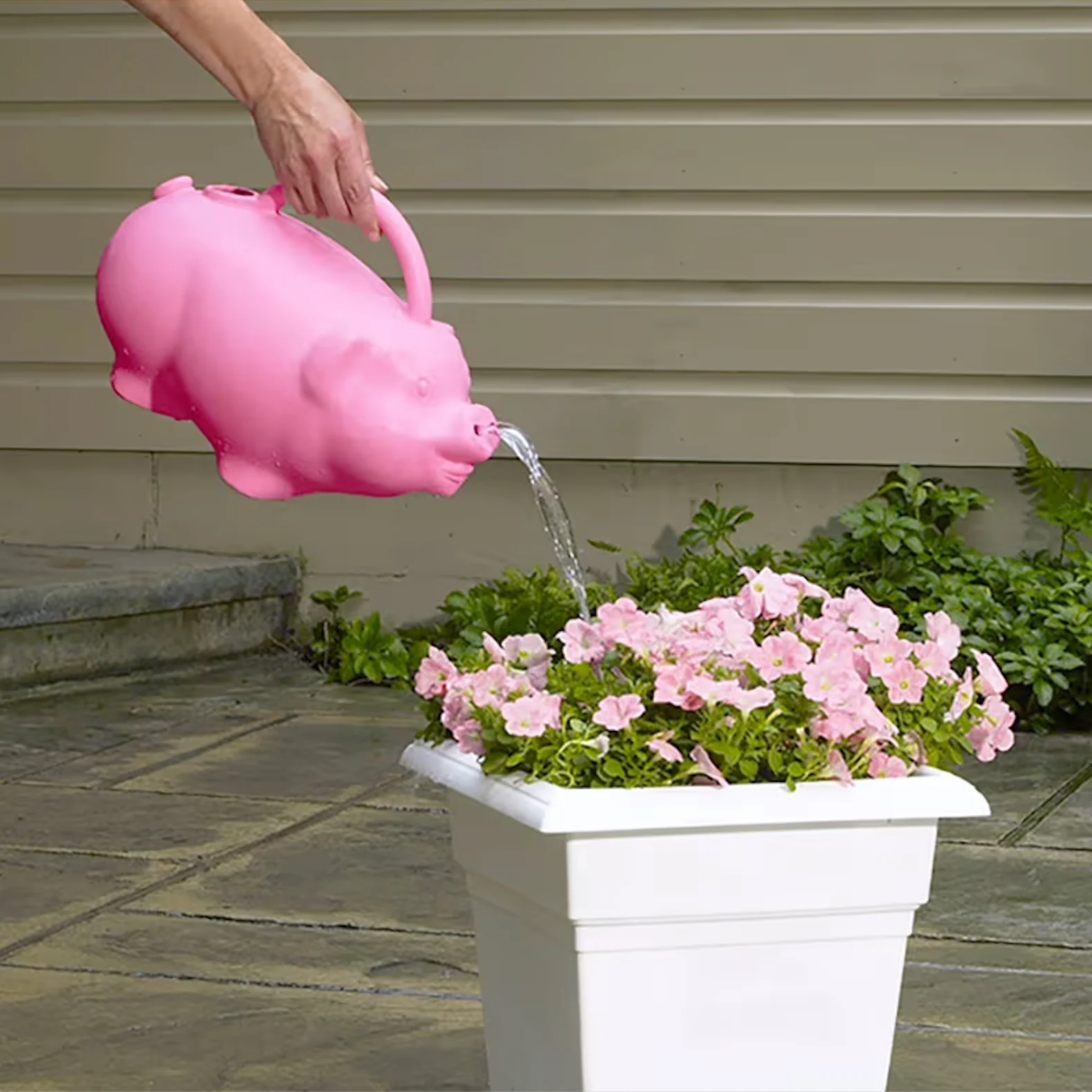Babs The Pig Watering Can (1.75 Gallon) - Image 2