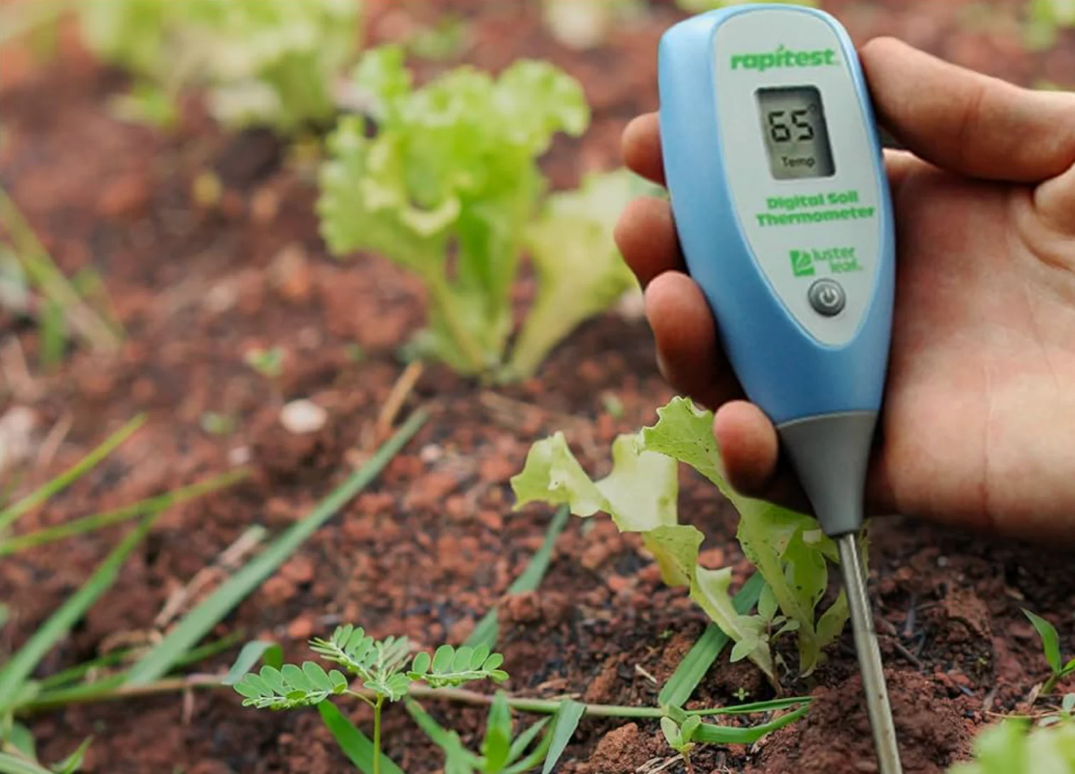 Luster Leaf® Rapitest® Digital Soil Thermometer - Image 2