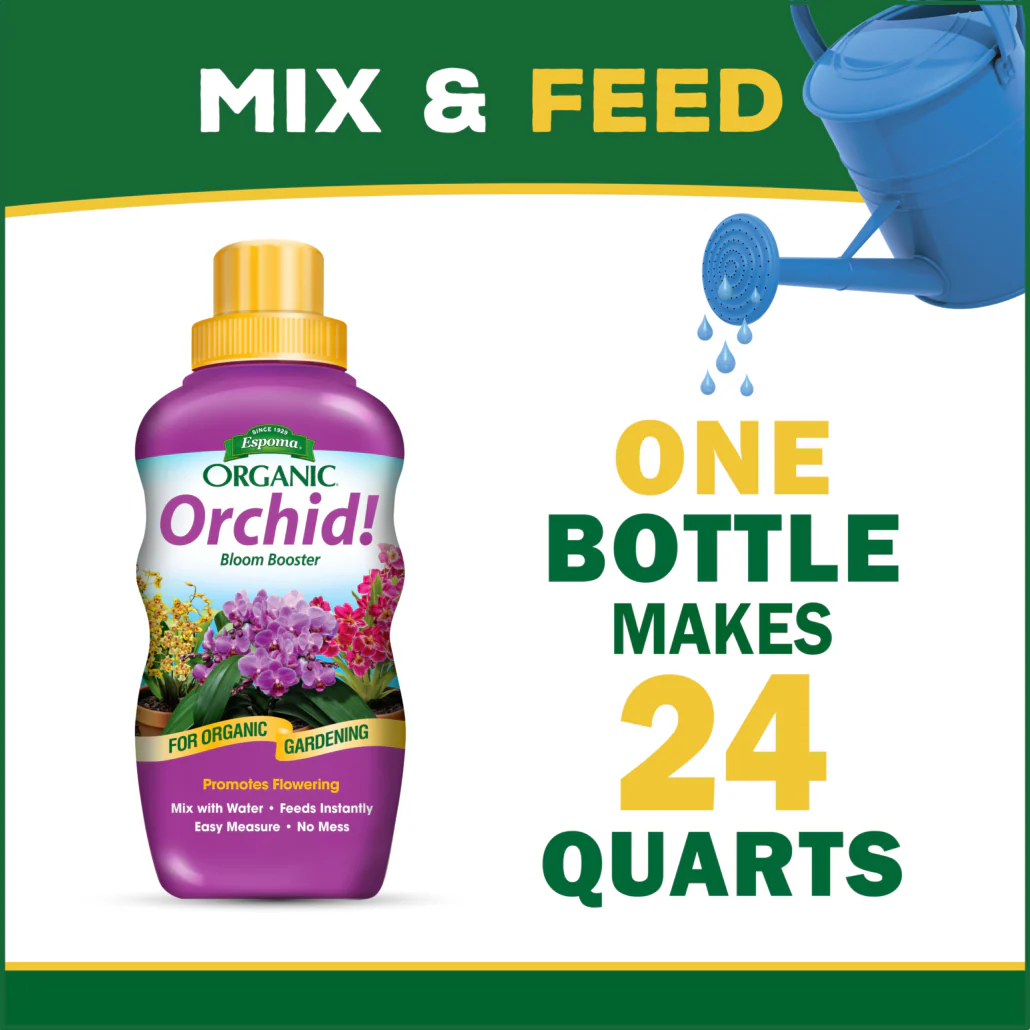 Orchid! 8oz - Image 5