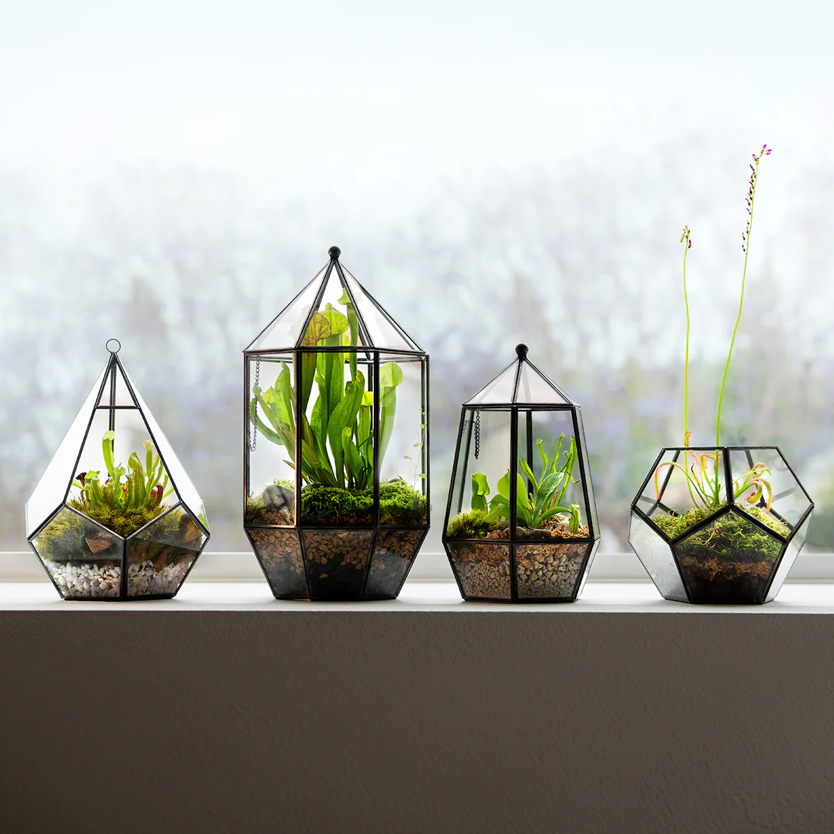 SuperMoss Hanging Teardrop Terrarium - Image 3