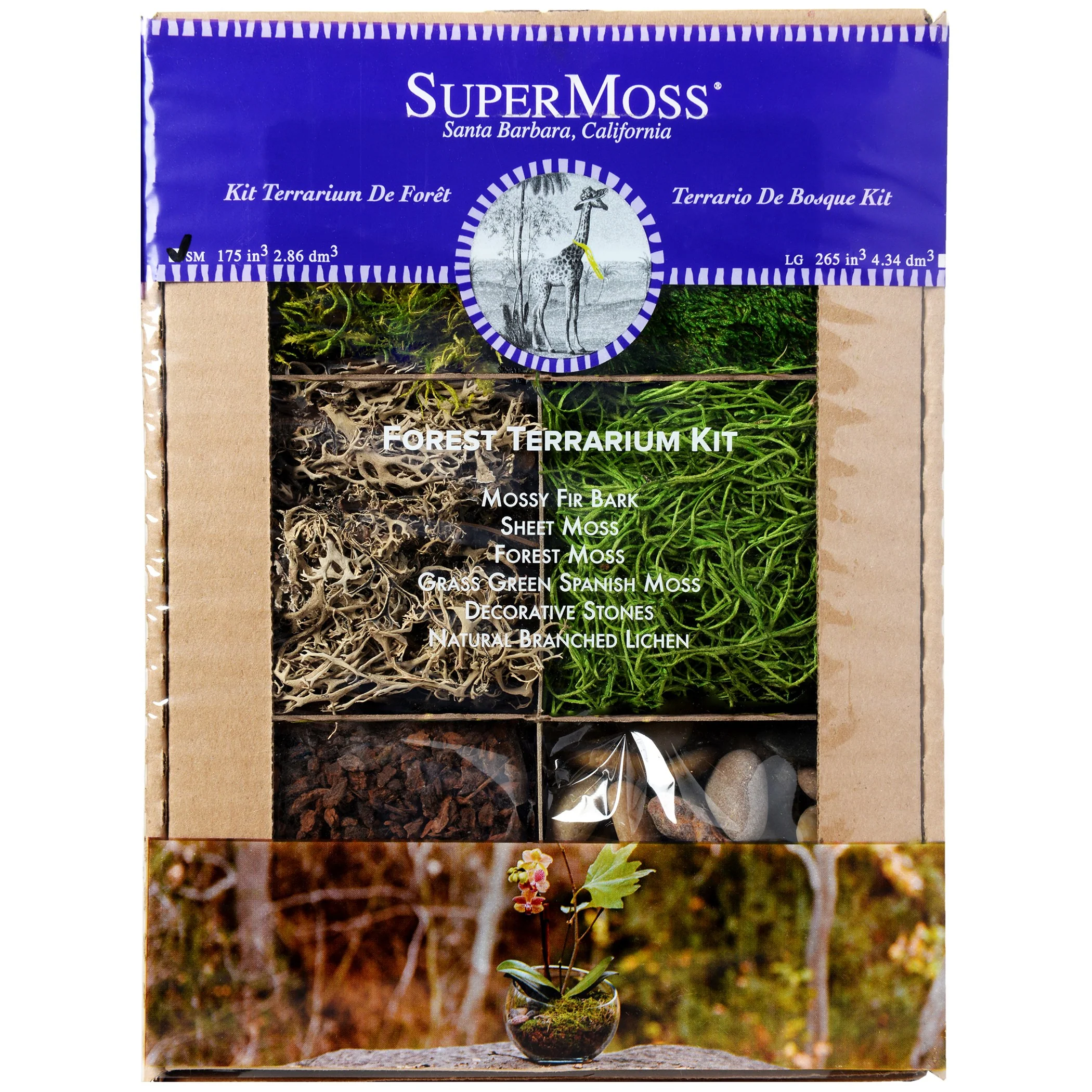 SuperMoss® Terrarium Kit - Forest Kit