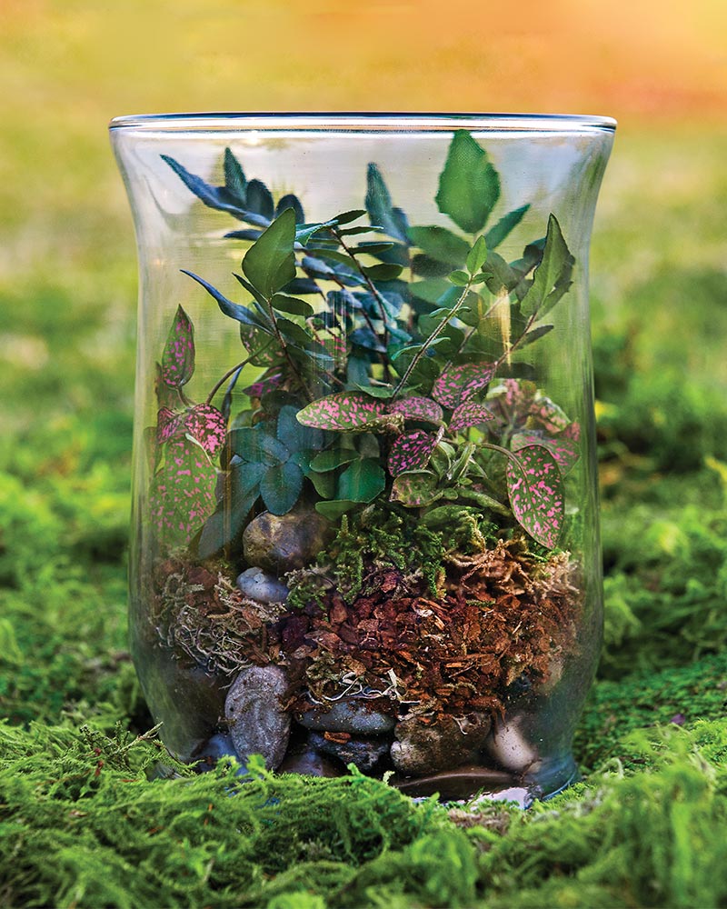 SuperMoss® Terrarium Kit - Forest Kit - Image 2