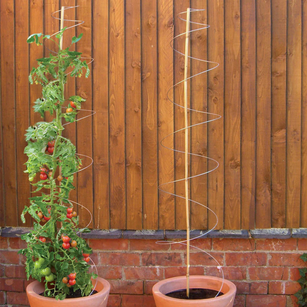 Twisters Extendable Plant Supports (Set of 3) - Image 2