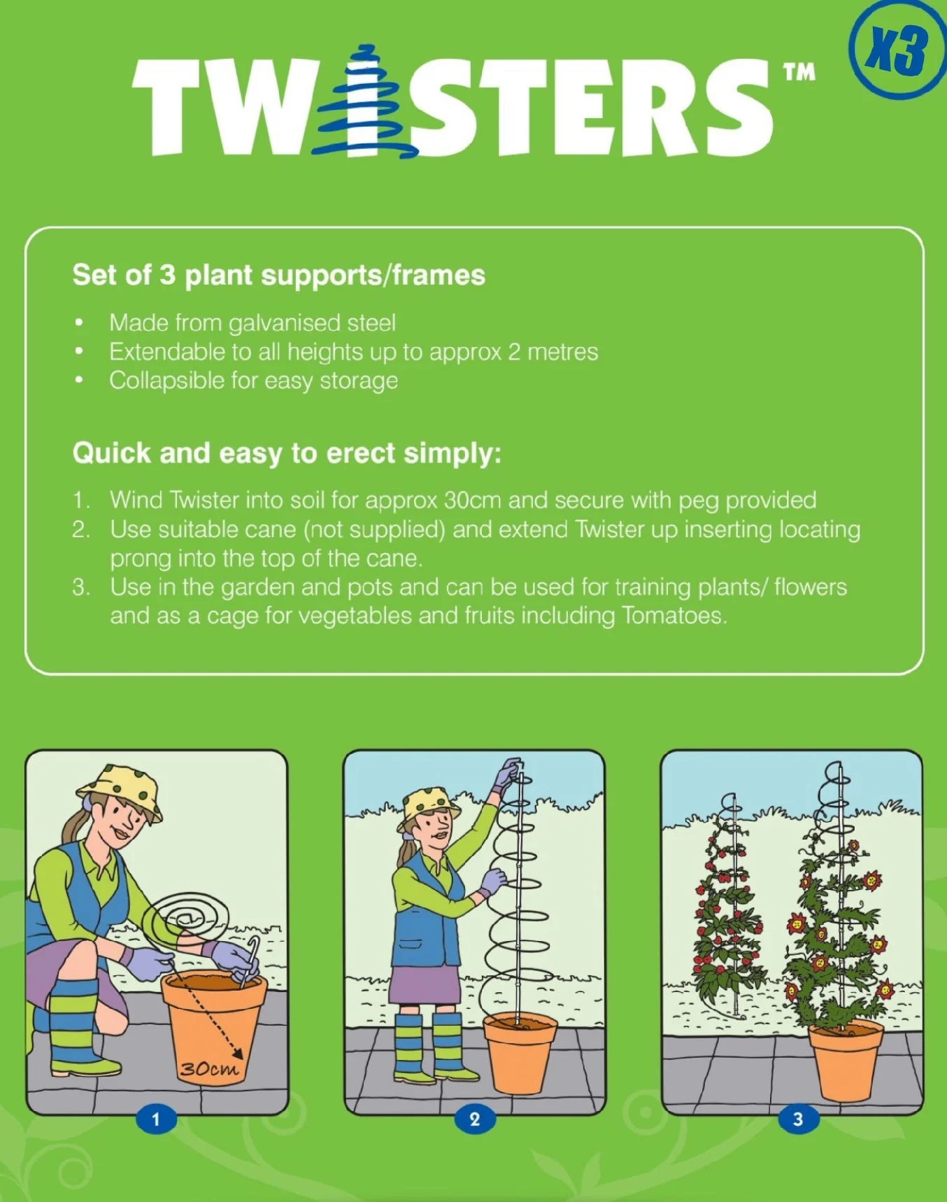 Twisters Extendable Plant Supports (Set of 3) - Image 5